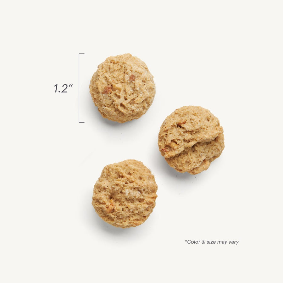The Honest Kitchen Goat's Milk N' Cookies Peanut Butter & Honey Probiotic Dog Treats
