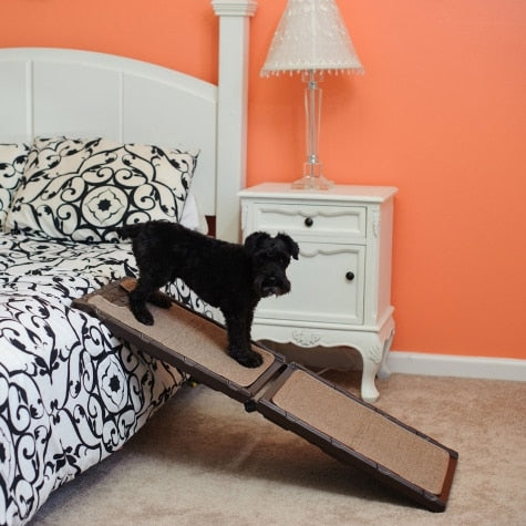 Gen7Pets Indoor Carpet Ramp Mini 42in